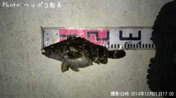 タケノコメバル