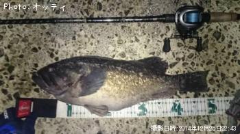 クロソイ
