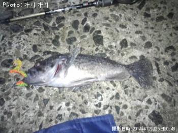 クロソイ