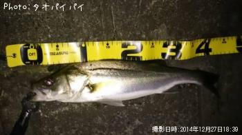 フッコ