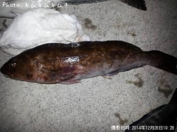 アイナメ