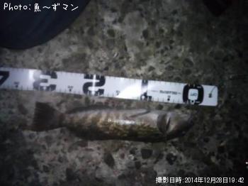 ʥ