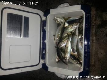 アジ