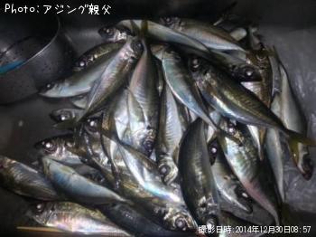 アジ