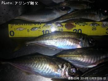 アジ