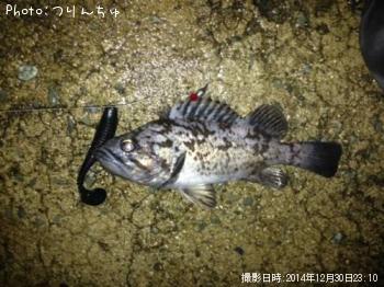 クロソイ