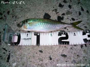 アジ