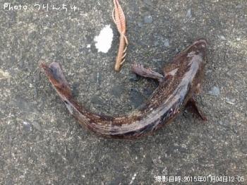 ʥ