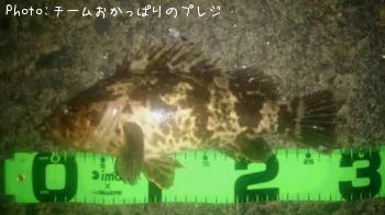 ΥХ