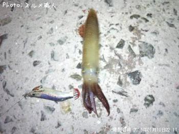 ベイカ