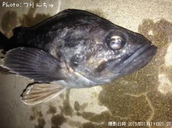 クロソイ