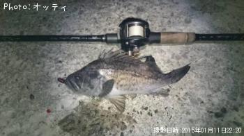 クロソイ