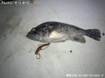 クロソイ