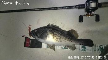 クロソイ