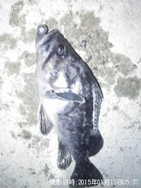 クロソイ