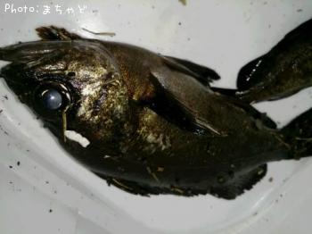 Х