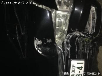アオリイカ