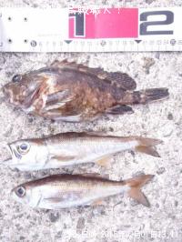 饫