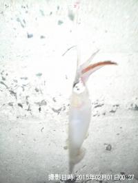 饫