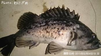 クロソイ