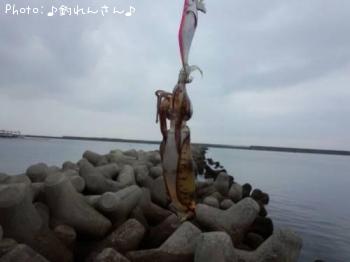 屨±
