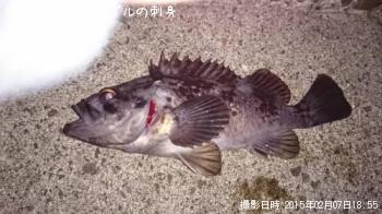 ɥ