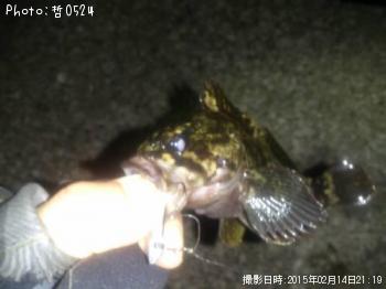 饽
