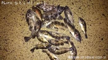 クロソイ