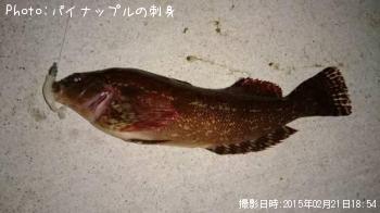アイナメ