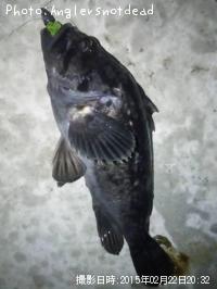 クロソイ