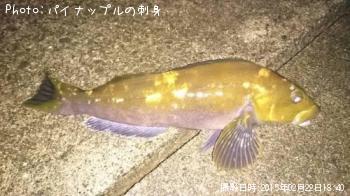 ʥ