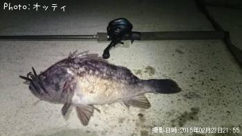 クロソイ
