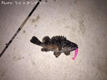 クロソイ