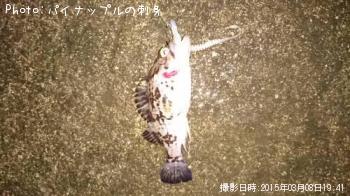 クロソイ