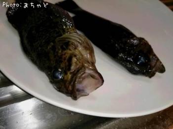 メバル