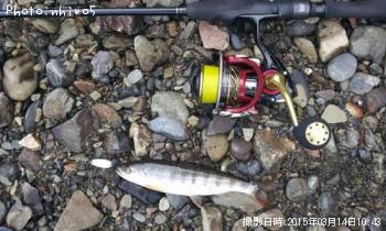 山女魚