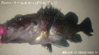 クロソイ