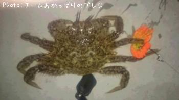 Х