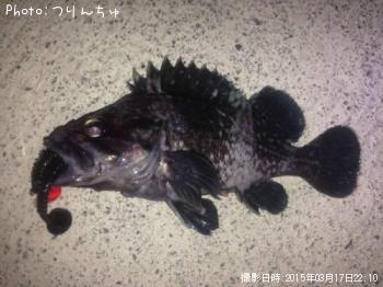 マゾイ