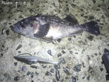 クロソイ