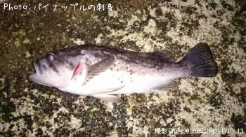 クロソイ