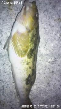 ʥ