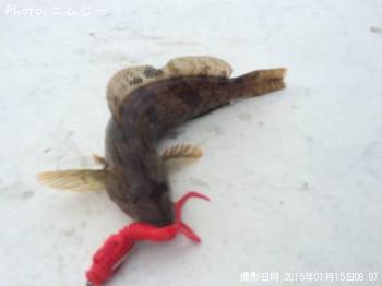 ʥ
