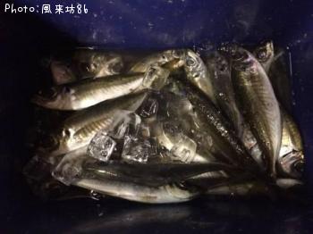 アジ