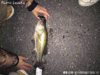 ブラックバス