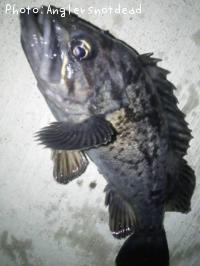 クロソイ