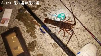 エビ
