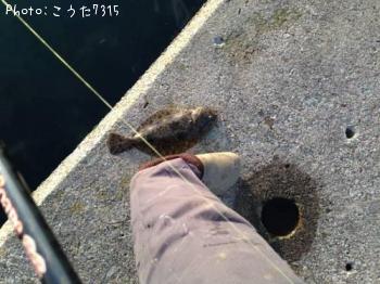 ソゲ