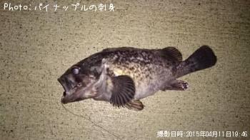 クロソイ
