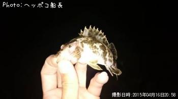 タケノコメバル
